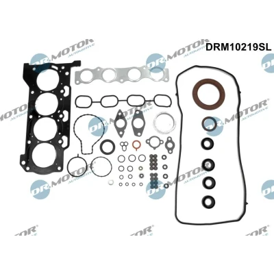 Bilde av DR.MOTOR AUTOMOTIVE DRM10219SL Tetnings helsett, motor