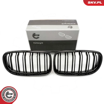 Bilde av ESEN SKV 66SKV099 Radiatorgitter glanset, svart BMW: 3 Coupé, Cabrio