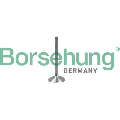 Bilde av Borsehung B19017 Innløpsventil AUDI: A3 Sportback, A4 B7 Avant, VOLKSWAGEN: Touran I, Golf 5, SKODA: Octavia 2 Combi, 1 Combi
