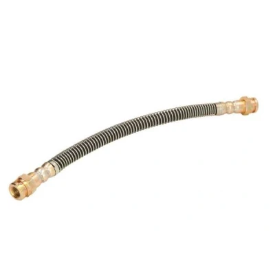Bilde av ABE C86130ABE Bremseslange bakaksel 245 M10x1 internal