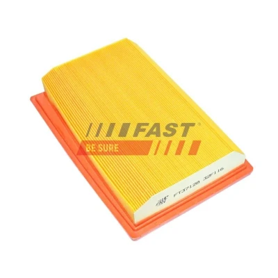 Bilde av FAST FT37171 Luftfilter 48, 50 300 340 Filterinnsats FORD: Transit Custom V362 Van, Minibuss, V363 Van
