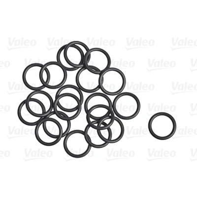 Bilde av VALEO 509305 Pakninger