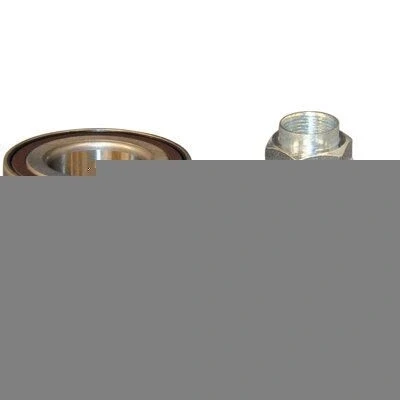 Bilde av JP GROUP 3441300510 Hjullagersett med ABS senorring 73 HONDA: CR V 2, Jazz 2