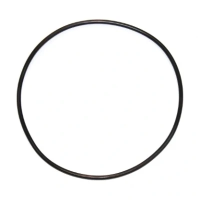 Bilde av O ring ELRING 281.906