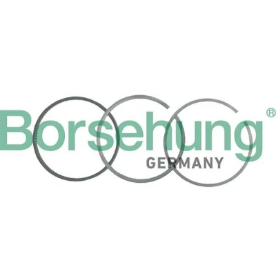 Bilde av Borsehung B19040 Stempelringsett VOLKSWAGEN: Touran I, GOLF 3, Multivan 5 (7HM, AUDI: A4 B6 Sedan, 80 B4 B7 Sedan