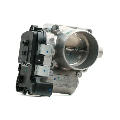 Bilde av Borsehung B19289 Gasspjeld VOLKSWAGEN: Scirocco III, Tiguan I, Polo V Hatchback, AUDI: A1 Sportback, SKODA: Octavia 3 Combi
