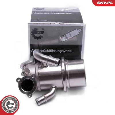 Bilde av ESEN SKV 14SKV243 EGR Ventil VOLKSWAGEN: Golf 7 Variant