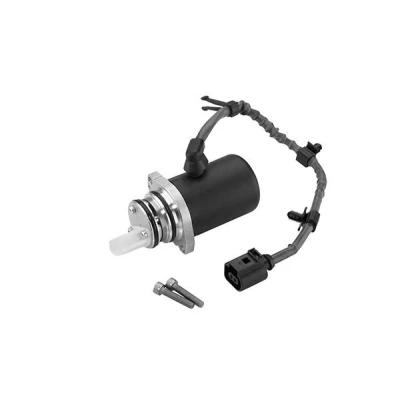 Bilde av BorgWarner DS118613 Pumpe, lamellkopling firehjulsdrift VOLKSWAGEN: Passat B6 Variant, Golf 5, SKODA: Octavia 2 Combi
