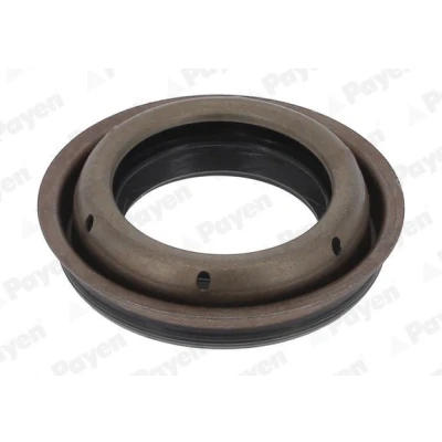 Bilde av PAYEN NA5508 Pakninger OPEL: Zafira A, Corsa D Hatchback, Astra G Caravan, FIAT: Strada Pick up