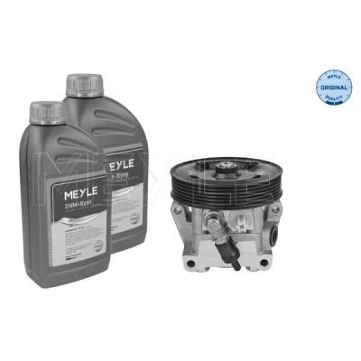 Bilde av MEYLE 714 631 0025/S Hydraulikkpumpe hydraulisk med oljemengde for oljespyling FORD: Focus 2 Kombi,