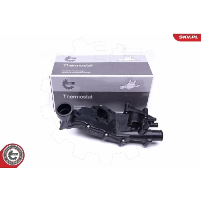 Bilde av Termostat, kjølemiddel, citroën c5 i, break peugeot 406, 406 break, coupé, 607, 1336V0