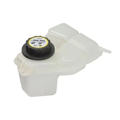 Bilde av THERMOTEC DBG034TT Ekspansjonstank uten deksel FORD: FIESTA 5, Fusion Stasjonsvogn