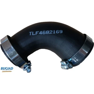 Bilde av BUGIAD 82169 Ladeluftslange gummi med bøyler FORD: Galaxy Mk2 MPV, S Max Mk1, MONDEO 4