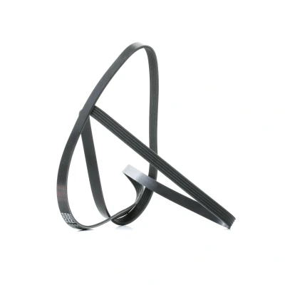 Bilde av FEBI BILSTEIN 28888 Kileribberem 2025 5 EPDM (etyl propylen dien gummi) BMW: Sedan, Touring, 3 Touring