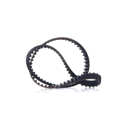 Bilde av FEBI BILSTEIN 11229 Registerreim 101 17 PEUGEOT: 306 Hatchback, 206 Hatchback