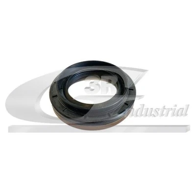 Bilde av 3RG 82667 Pakninger girkassesiden RENAULT: GRAND SCENIC 2