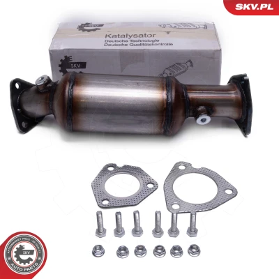 Bilde av Katalysator, Foran, audi,skoda,vw, 813189CX, 813189DX, 813189EX, 813189HX, 8254200X, 8E0131089AX, 8E0131089BX, 8E0131089DX, 8E0131089EX,