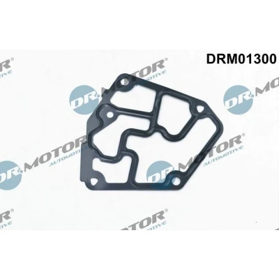 Bilde av DR.MOTOR AUTOMOTIVE DRM01300 Pakninger VOLKSWAGEN: Passat B5 GP Stasjonsvogn, AUDI: A4 B6 Avant
