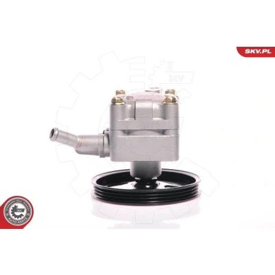 Bilde av Hydraulikkpumpe, styring, nissan almera ii, hatchback 491105M400