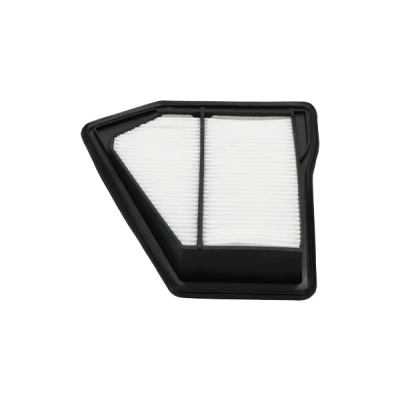 Bilde av Luftfilter, honda cr v iii, iv, 17220RFWG01
