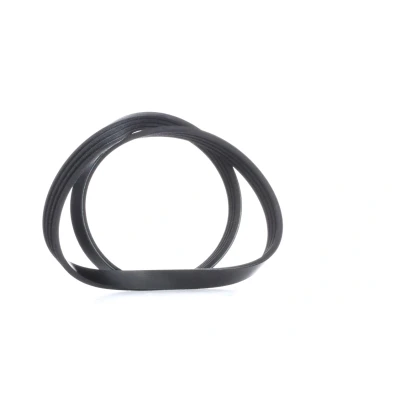 Bilde av FEBI BILSTEIN 28789 Kileribberem 900 4 EPDM (etyl propylen dien gummi) BMW: X3, 3 Touring, Sedan, MERCEDES BENZ: G Klasse SUV, GLC SUV