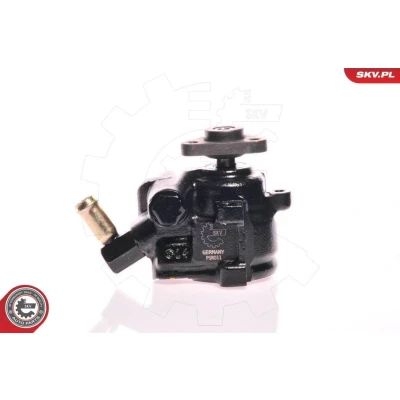 Bilde av ESEN SKV 10SKV175 Hydraulikkpumpe hydraulisk 90bar 80bar trykkbegrensningsventil 60l/t vingepumpe Støpejern rotasjon med urviseren
