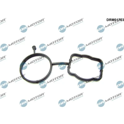 Bilde av DR.MOTOR AUTOMOTIVE DRM01703 Pakninger VOLKSWAGEN: Polo V Hatchback