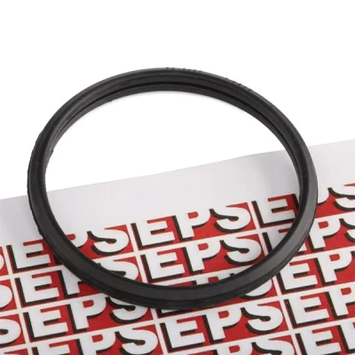 Bilde av EPS 1.890.569 Pakninger Made in Italy OE Equivalent
