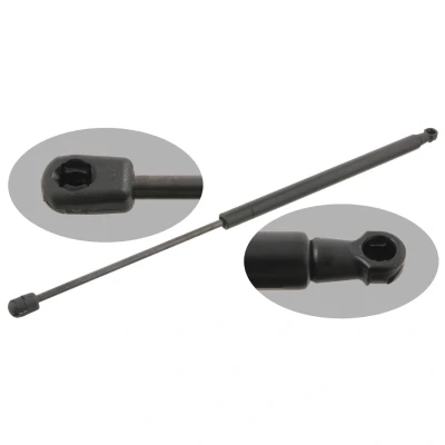 Bilde av FEBI BILSTEIN 29300 Gassfjær 540 530 på begge sider
