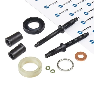 Bilde av DR.MOTOR AUTOMOTIVE DRM040L Pakninger med skrue CITROËN: Berlingo II Van, C5 Hatchback, II, FORD: Focus 2 Kombi, FIESTA 6,