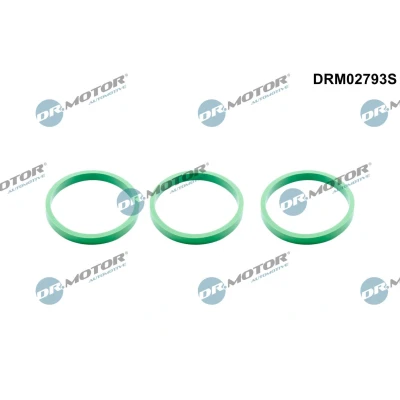 Bilde av DR.MOTOR AUTOMOTIVE DRM02793S Tetningssett, innsugningsmanifold AUDI: A6 C6 Sedan, C7 Avant