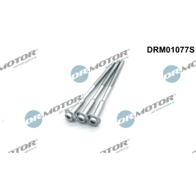 Bilde av DR.MOTOR AUTOMOTIVE DRM01077S skrue, innsprøytningsdyseholder VOLKSWAGEN: Polo V Hatchback