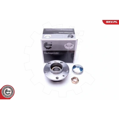 Bilde av ESEN SKV 29SKV300 Hjullagersett bakaksel 118mm OPEL: Combo D Varebil / Stasjonsvogn, FIAT: Doblo II Stasjonsvogn