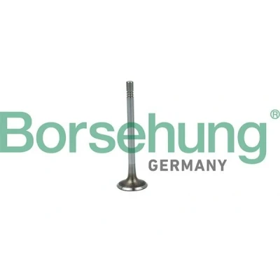 Bilde av Borsehung B19020 Innløpsventil VOLKSWAGEN: Polo V Hatchback, AUDI: A3 Sportback, SKODA: Octavia 2 Combi