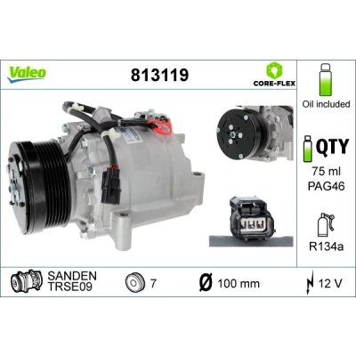 Bilde av VALEO 813119 Kompressor TRSE09 12 PAG 46 R 134a med kompressorlje HONDA: CR V 3