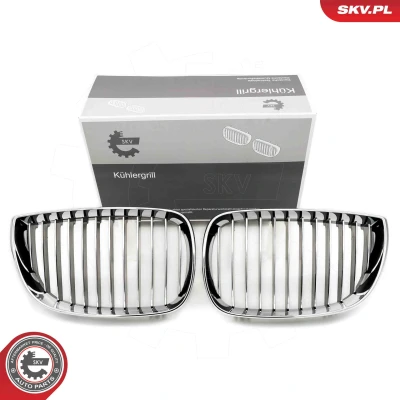 Bilde av ESEN SKV 66SKV004 Radiatorgitter krom BMW: 1 Hatchback
