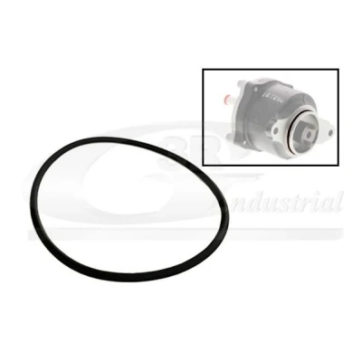 Bilde av 3RG 81091 Pakninger