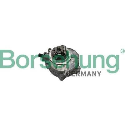 Bilde av Borsehung B18773 Vakuumpumpe AUDI: A6 C6 Avant, Sedan