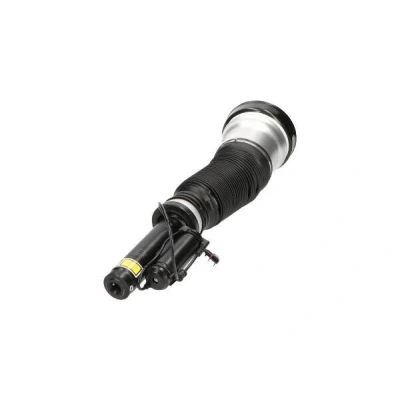 Bilde av Luftfjærbein KAVO PARTS SAS 10013