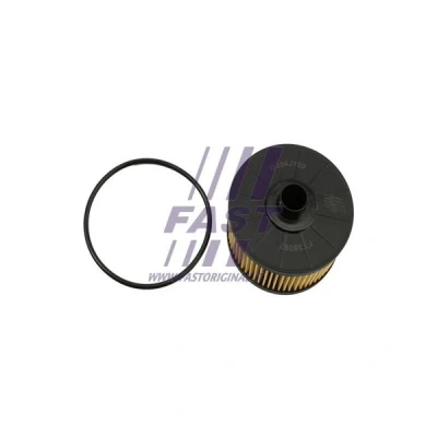 Bilde av FAST FT38097 Oljefilter med tetning Filterinnsats RENAULT: MEGANE 3 Grandtour, GRAND SCENIC 3, NISSAN: Qashqai 2, X Trail, Juke