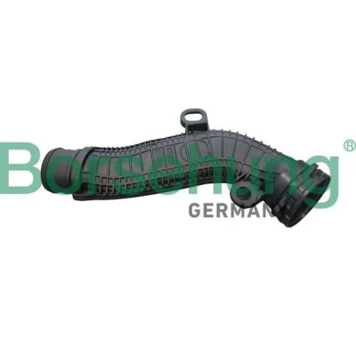Bilde av Borsehung B12348 Veivhusventilasjon VOLKSWAGEN: GOLF 6, Passat B7 Sedan