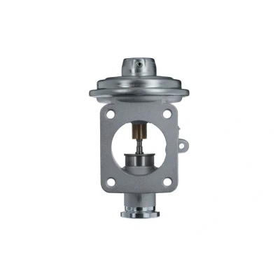 Bilde av VALEO 703233 EGR ventil pneumatisk uten kjøler, med tetning BMW: 3 Touring, X5, X3
