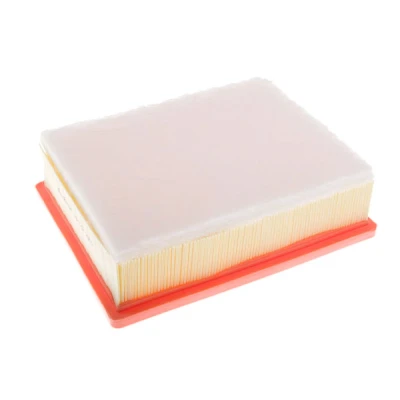 Bilde av Luftfilter, fiat,nissan,opel,renault, 1654600Q3K, 1654600Q3M, 165460835R, 165461783R, 4422252, 93451662