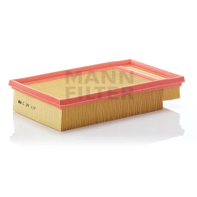 Bilde av MANN FILTER C 29 117 Luftfilter 57 169 282 Filterinnsats NISSAN: Primera Stasjonsvogn, Hatchback