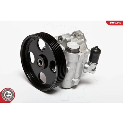 Bilde av Hydraulikkpumpe, styring, citroën,fiat,peugeot, 4007A6, 4007L8, 4007N4, 4007Z1