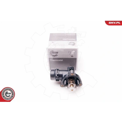 Bilde av ESEN SKV 20SKV062 Termostat 105 med kapsling BMW: 3 Sedan, 5 X3
