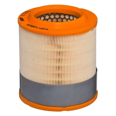 Bilde av HENGST FILTER E725L Luftfilter 184 152 Filterinnsats AUDI: A8 D3