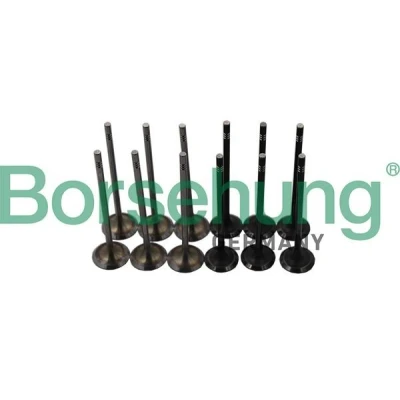 Bilde av Borsehung B19160 Innløpsventil VOLKSWAGEN: Polo V Hatchback