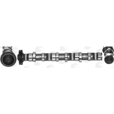 Bilde av AE CAM936 Kamaksel for sylinder 1 3, Eksosside AUDI: A4 B7 Avant