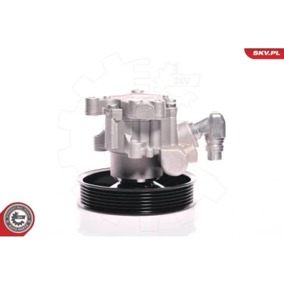 Bilde av Hydraulikkpumpe, styring, mercedes benz m klass [w163], 002 466 81 01, 82 A002 01